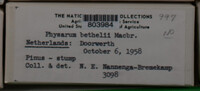 Image Associated With the Occurence